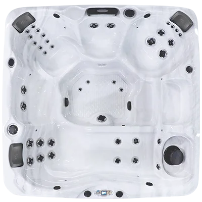 Avalon EC-840L hot tubs for sale in Palm Coast