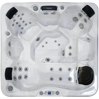 Avalon EC-849L hot tubs for sale in Palm Coast