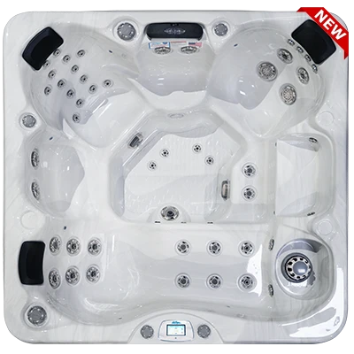 Avalon-X EC-849LX hot tubs for sale in Palm Coast