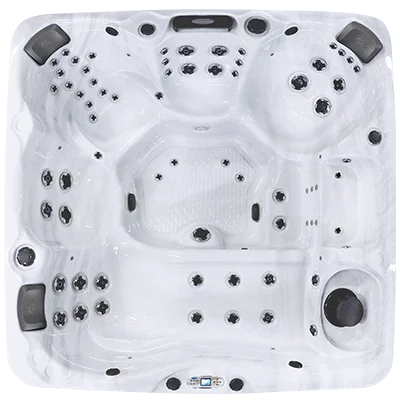 Avalon EC-867L hot tubs for sale in Palm Coast