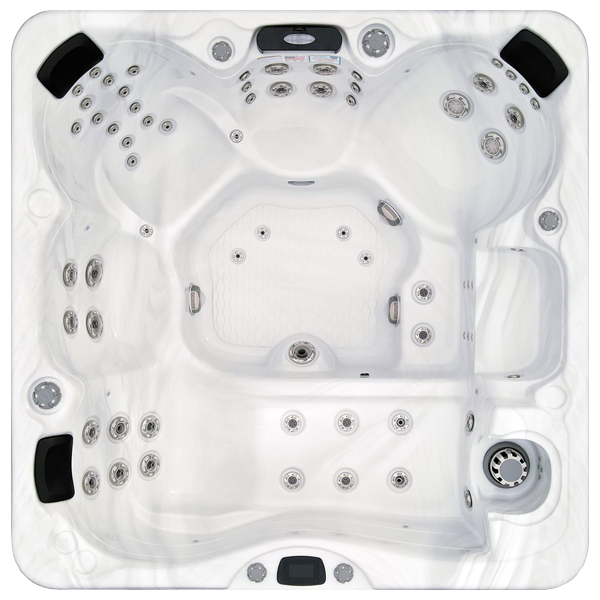 Avalon-X EC-867LX hot tubs for sale in Palm Coast